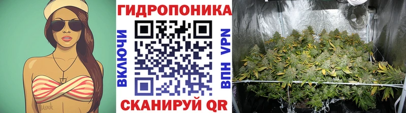 Наркошоп купить СК  АМФ  МЕФ  Гашиш  Каннабис  Агрыз