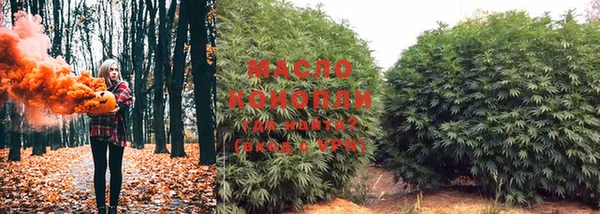 дмт Пересвет