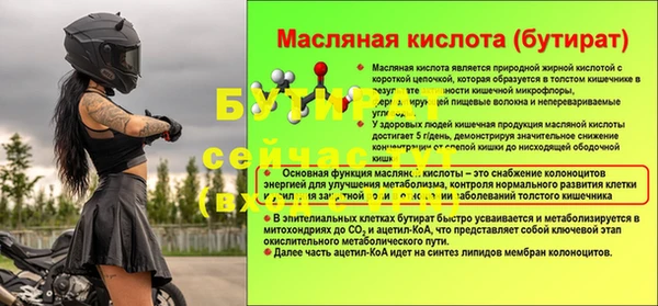 дмт Пересвет