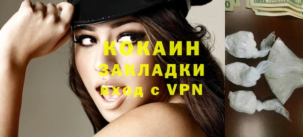 дмт Пересвет