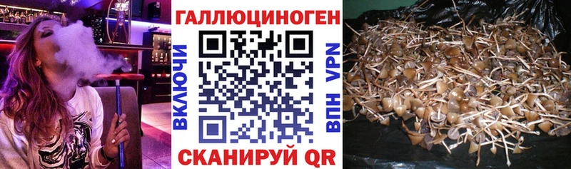 Псилоцибиновые грибы Cubensis  Купить  Агрыз 